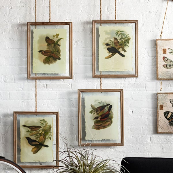 Large Framed Bird Pictures  Set of 4