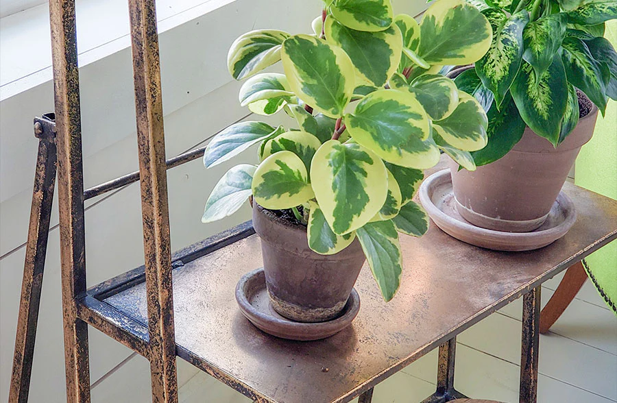 Large Galvanized Metal Shelf