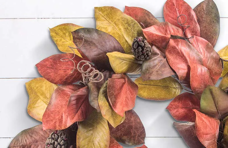 Curly Vine Magnolia Wreath