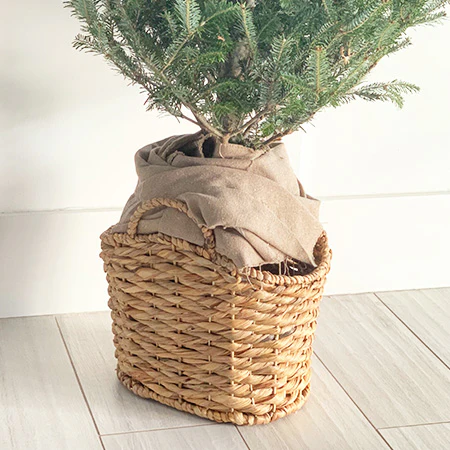 Hyacinth Basket With Handles