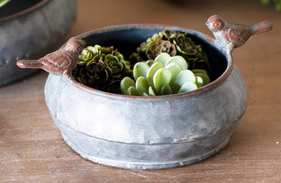 Galvanized Metal Bird Bowls, Set of 2