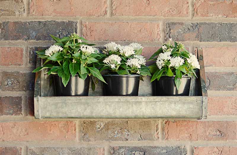 Rustic Wall Trough Planters  Set Of 2