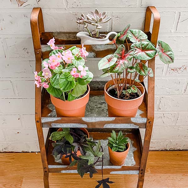 Rusted Finish Three-Tier Potting Shelves