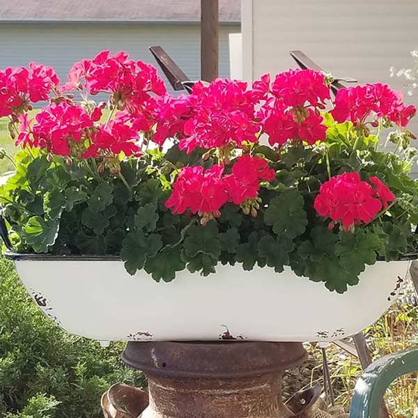 Distressed White Rectangle Enamel Tray