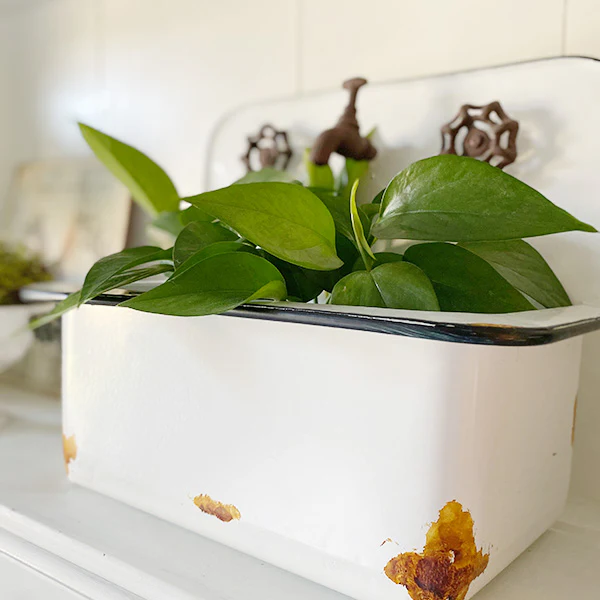 Chippy Sink Wall Planters, Set of 2