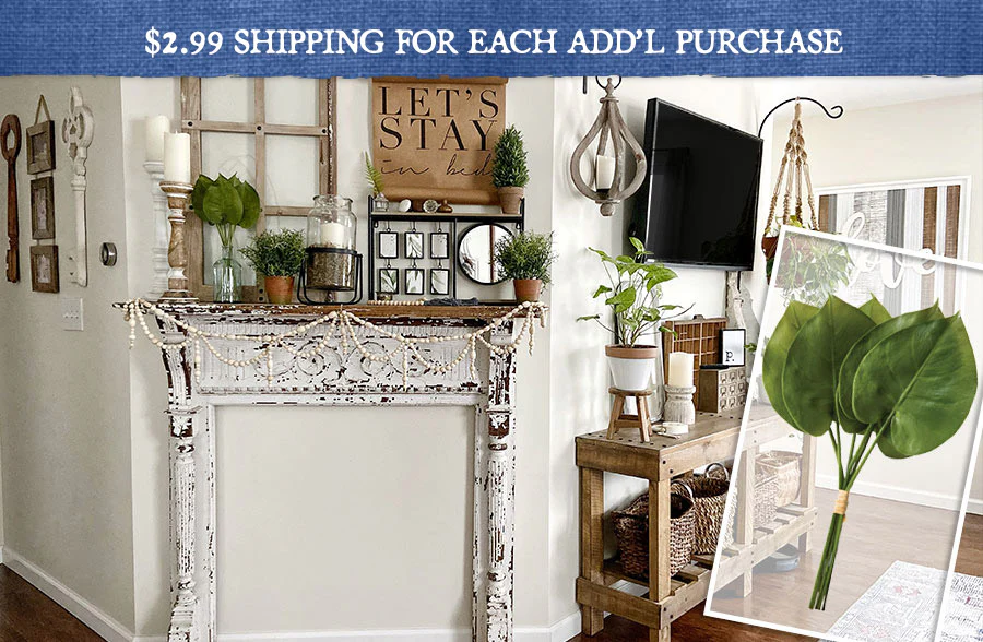 Philodendron Spray