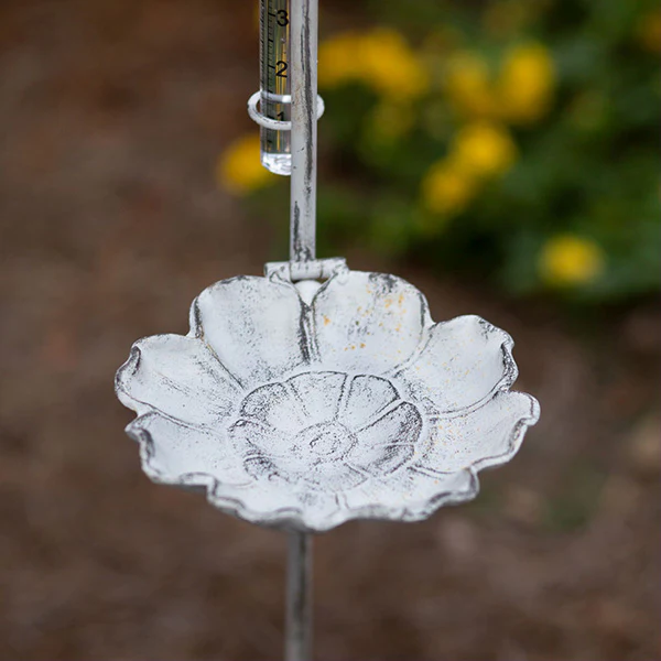 Leapfrog Rain Gauge and Bird  Feeder
