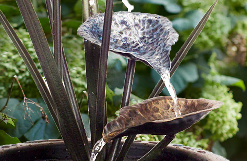 Lotus Leaf Fountain