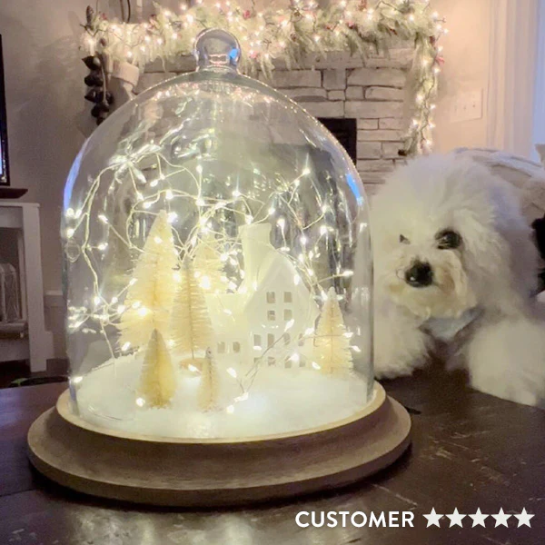 Glass Bell Shaped Cloche with Wood Base