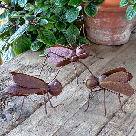Collected Metal Insects, Set of 3