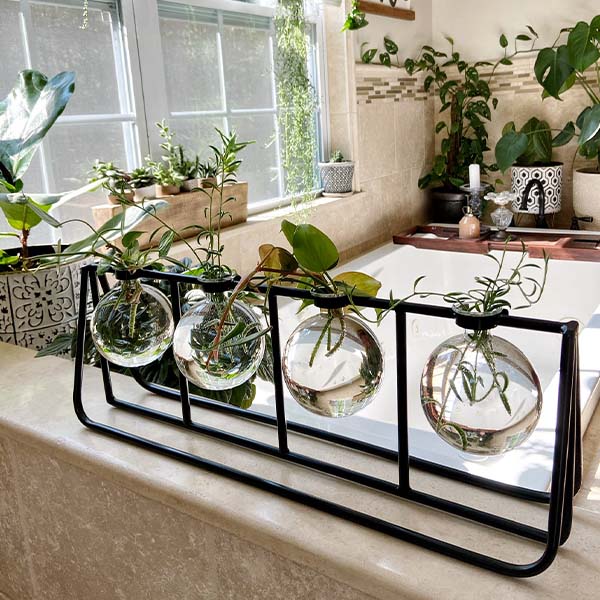 Clear Glass Bud Vases with Metal Rack