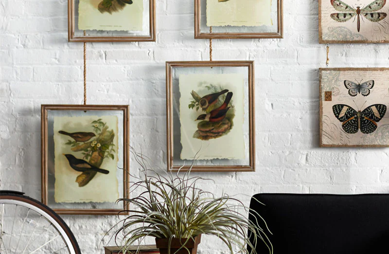 Large Framed Bird Pictures  Set of 4