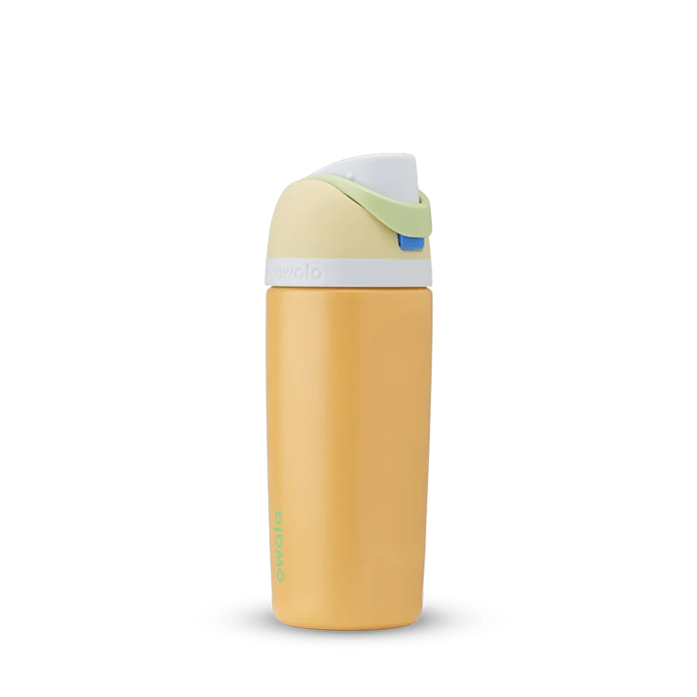 Owala 16oz Kids' FreeSip Stainless Steel Insulated Bottle Treasure Hunt