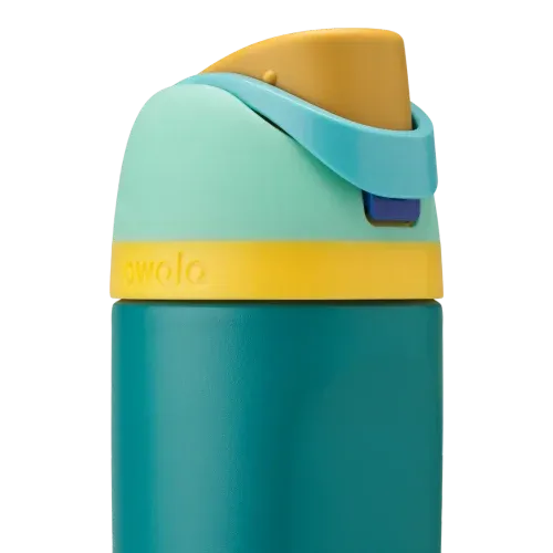 Owala 16oz Kids' FreeSip Stainless Steel Insulated Bottle Splishy Splashy