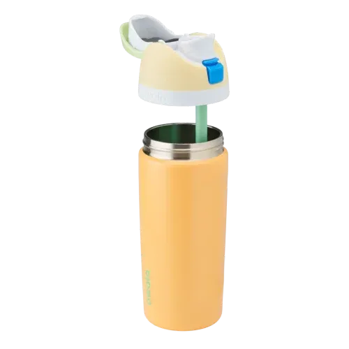 Owala 16oz Kids' FreeSip Stainless Steel Insulated Bottle Treasure Hunt