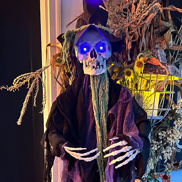 6FT Tall Halloween Skeleton Witch | Lights & Sounds!