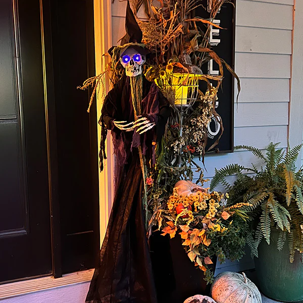 6FT Tall Halloween Skeleton Witch | Lights & Sounds!