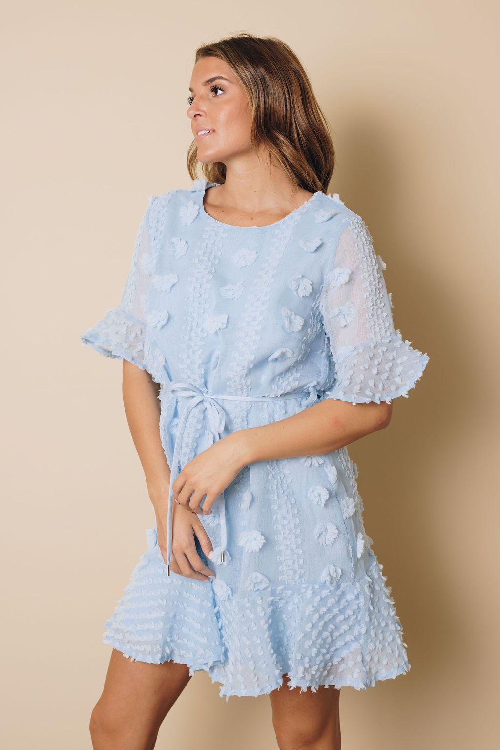 Meredith Swiss Dot Mini Dress