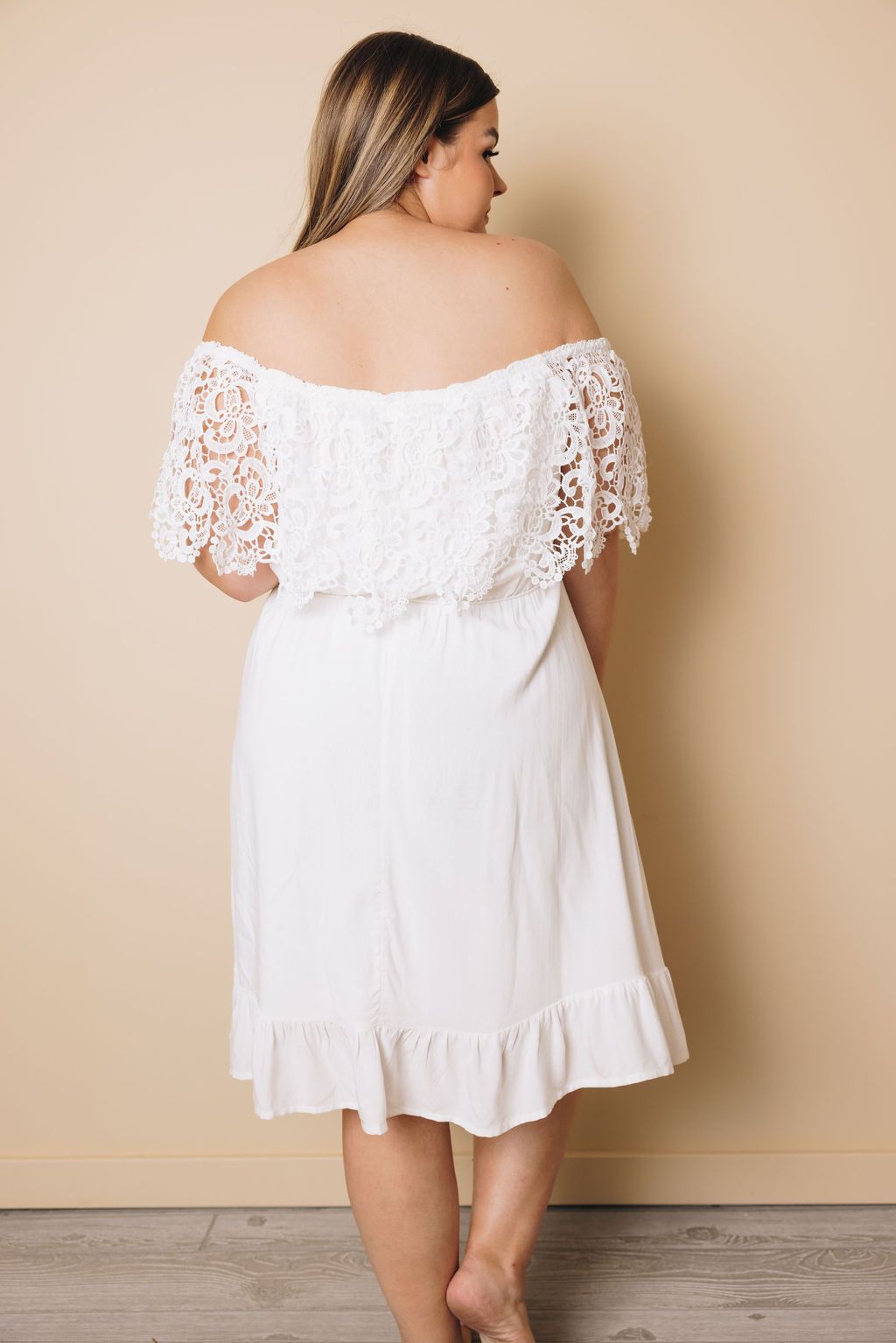 Plus Size - Maya Lace Sleeves Dress