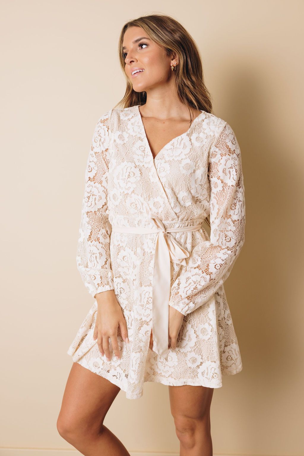 Cecelia Crochet Lace Dress