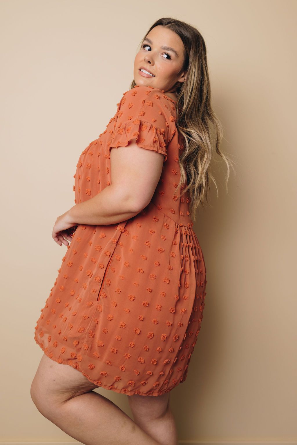 Plus Size - Darlene Swiss Dot Midi Dress