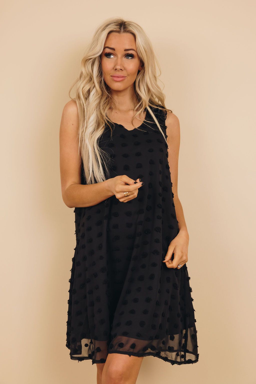 Titan Swis Dot Ruffle Dress