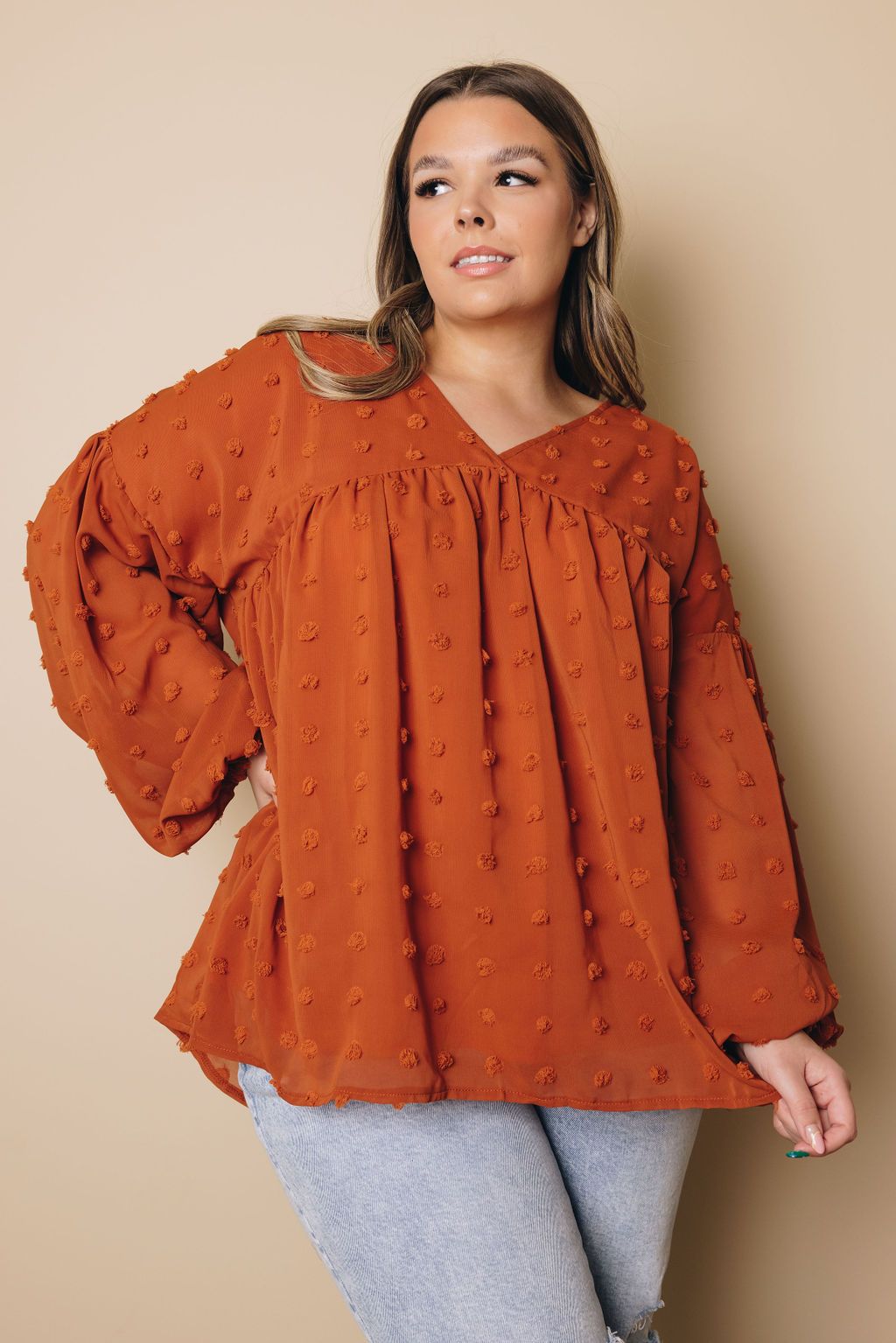 Plus Size - Dinah Swiss Dot Long Sleeve Top