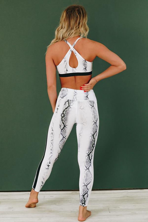 Power Hour Snake Patterned Active Set