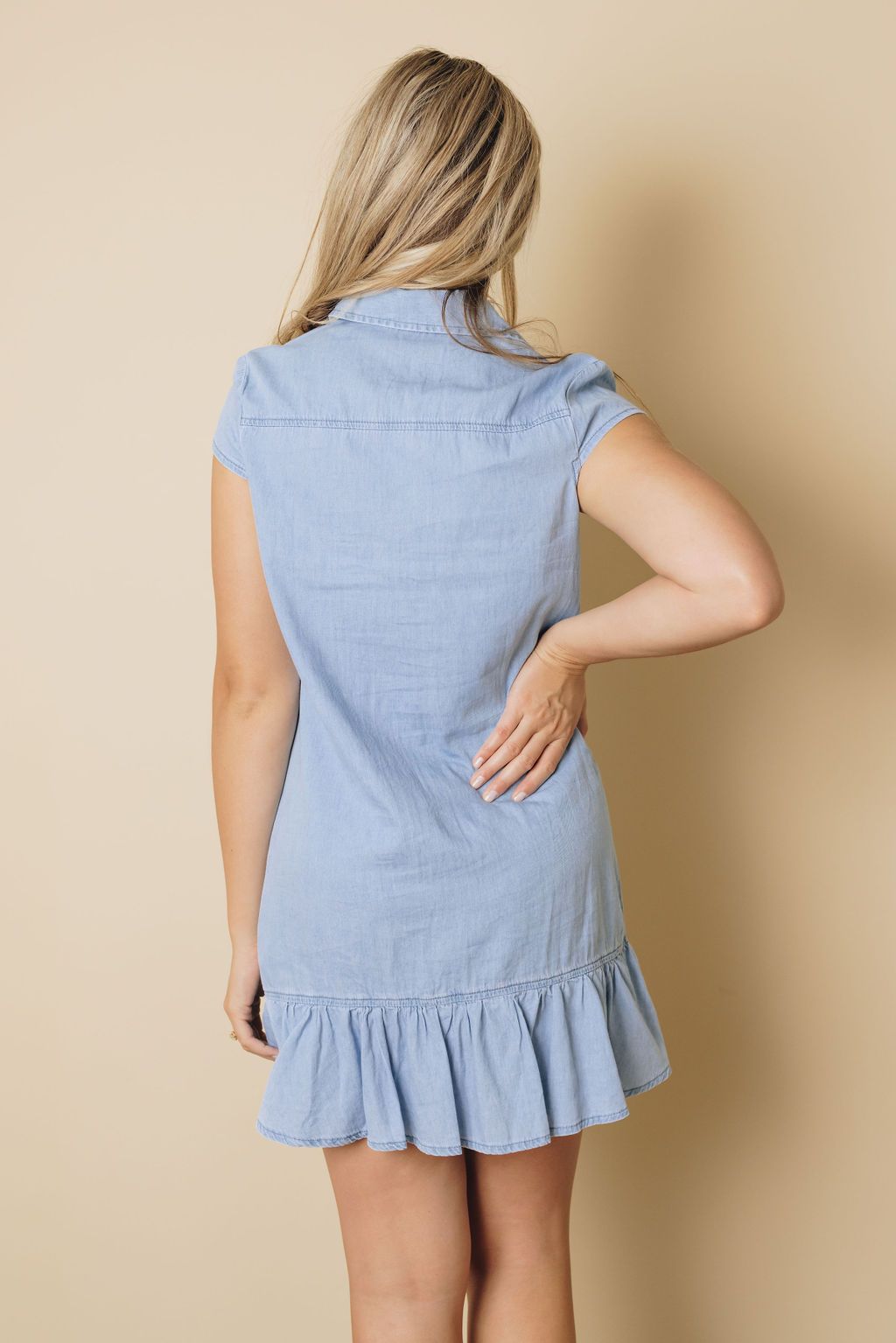 Illinois Denim Ruffle Dress