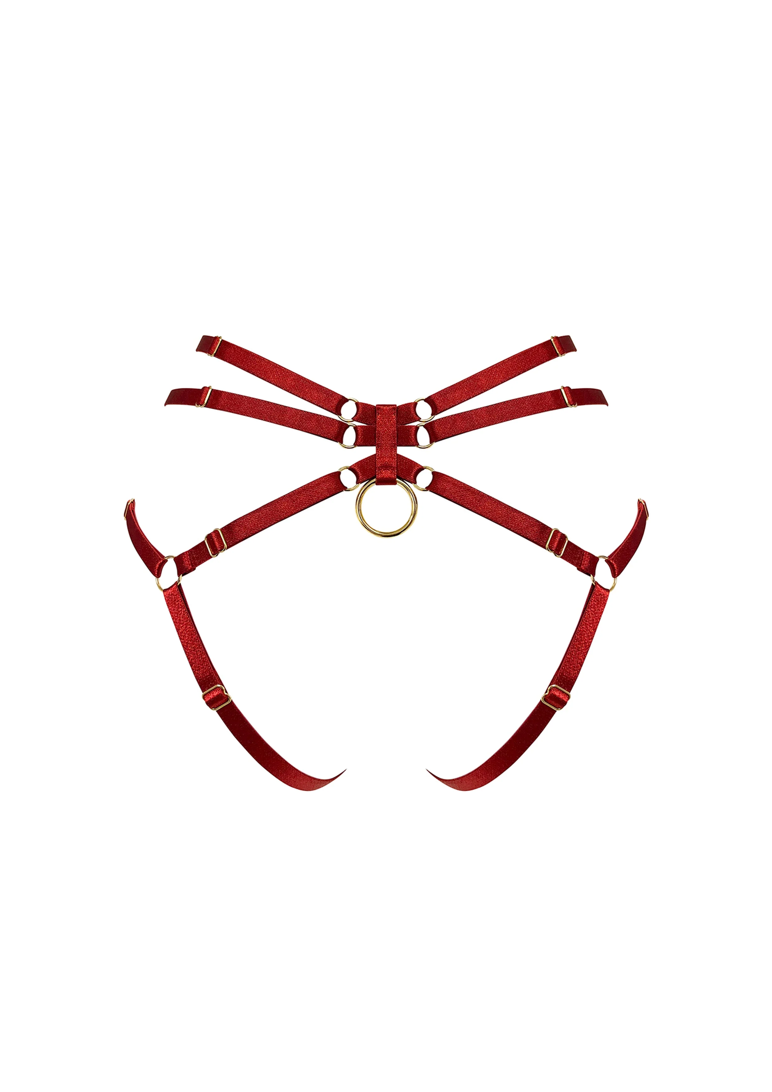 Signature Ouvert Harness Brief