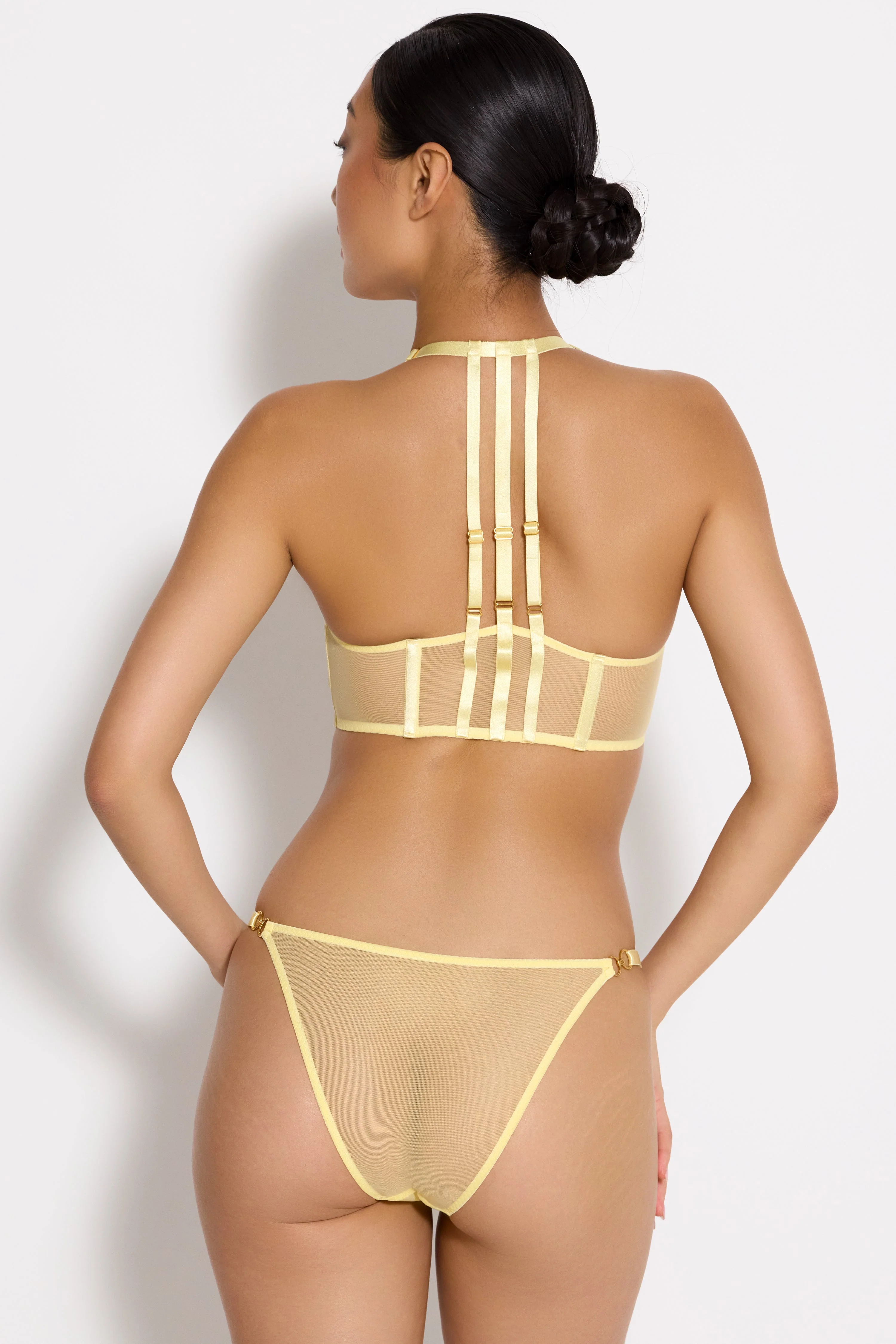 The Essentials Dia Brief