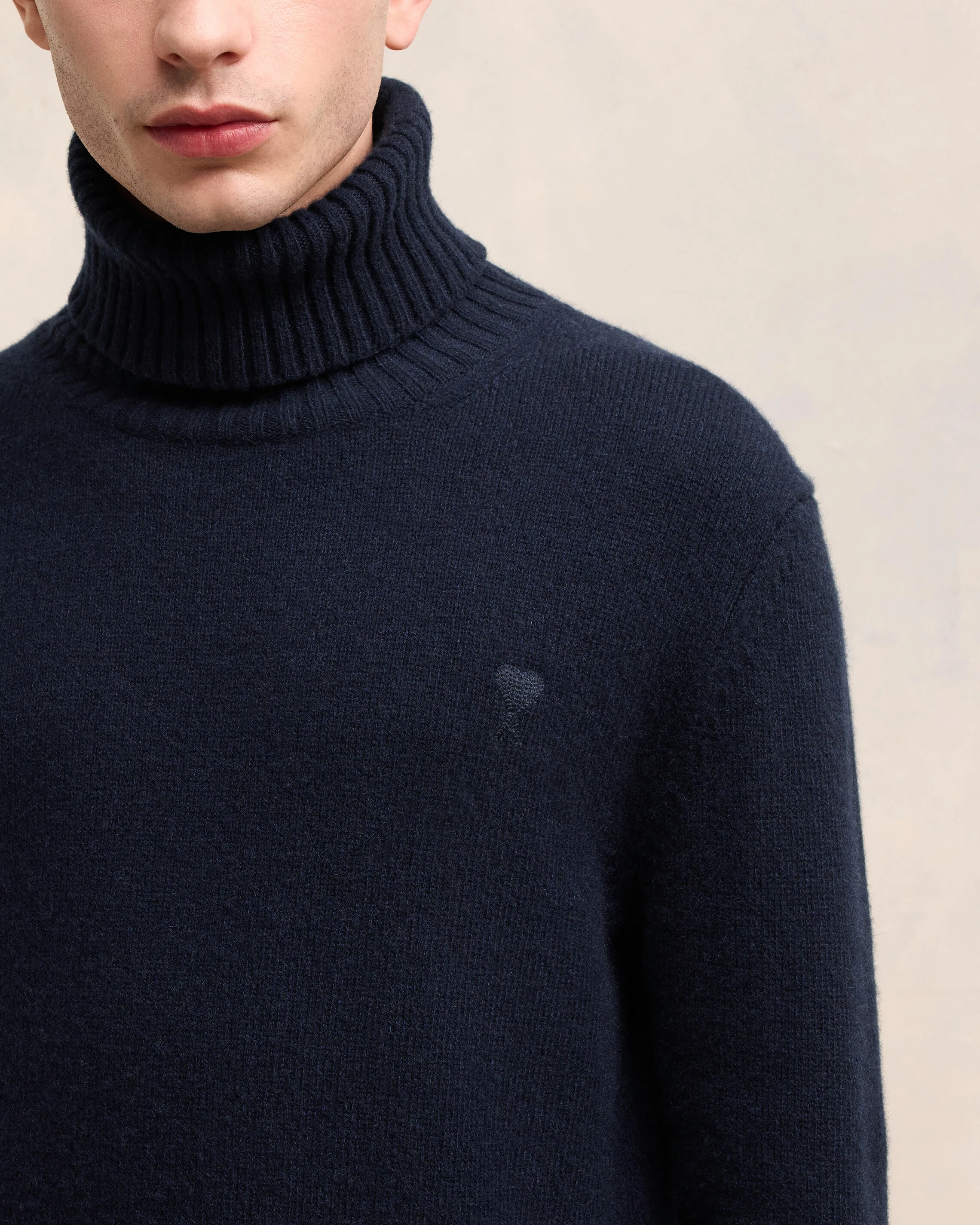 Cashmere Ami de Coeur Turtle Neck Sweater