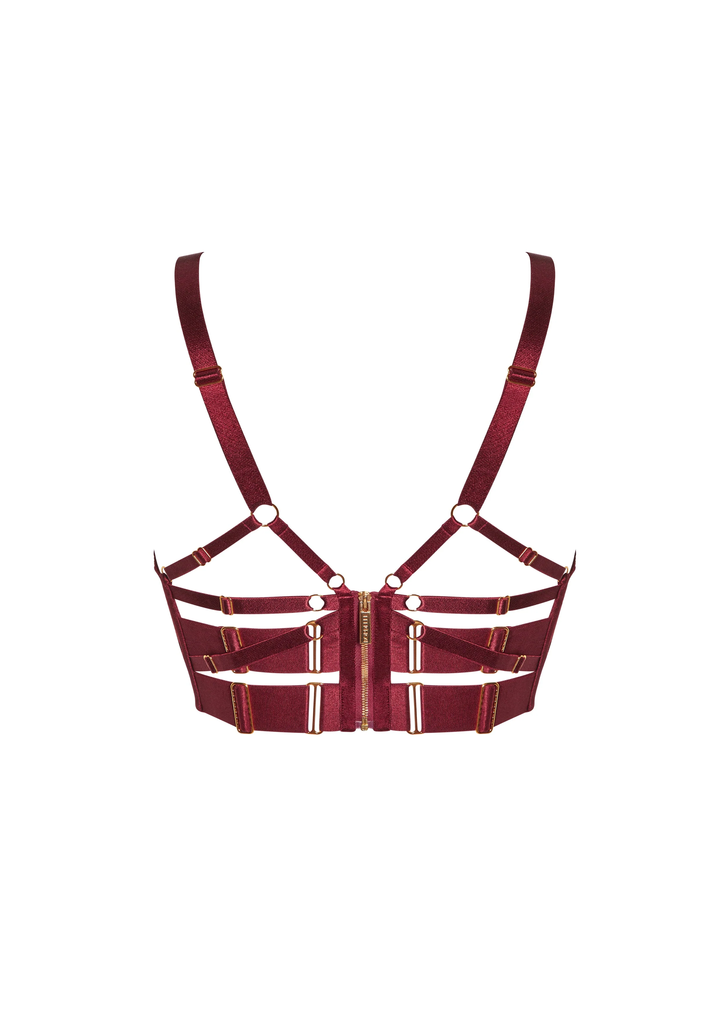 Tierra Longline Bodice Bra