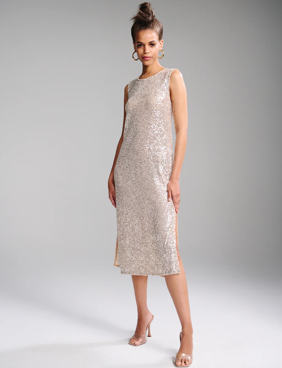 Sequin Mesh Midi Dress