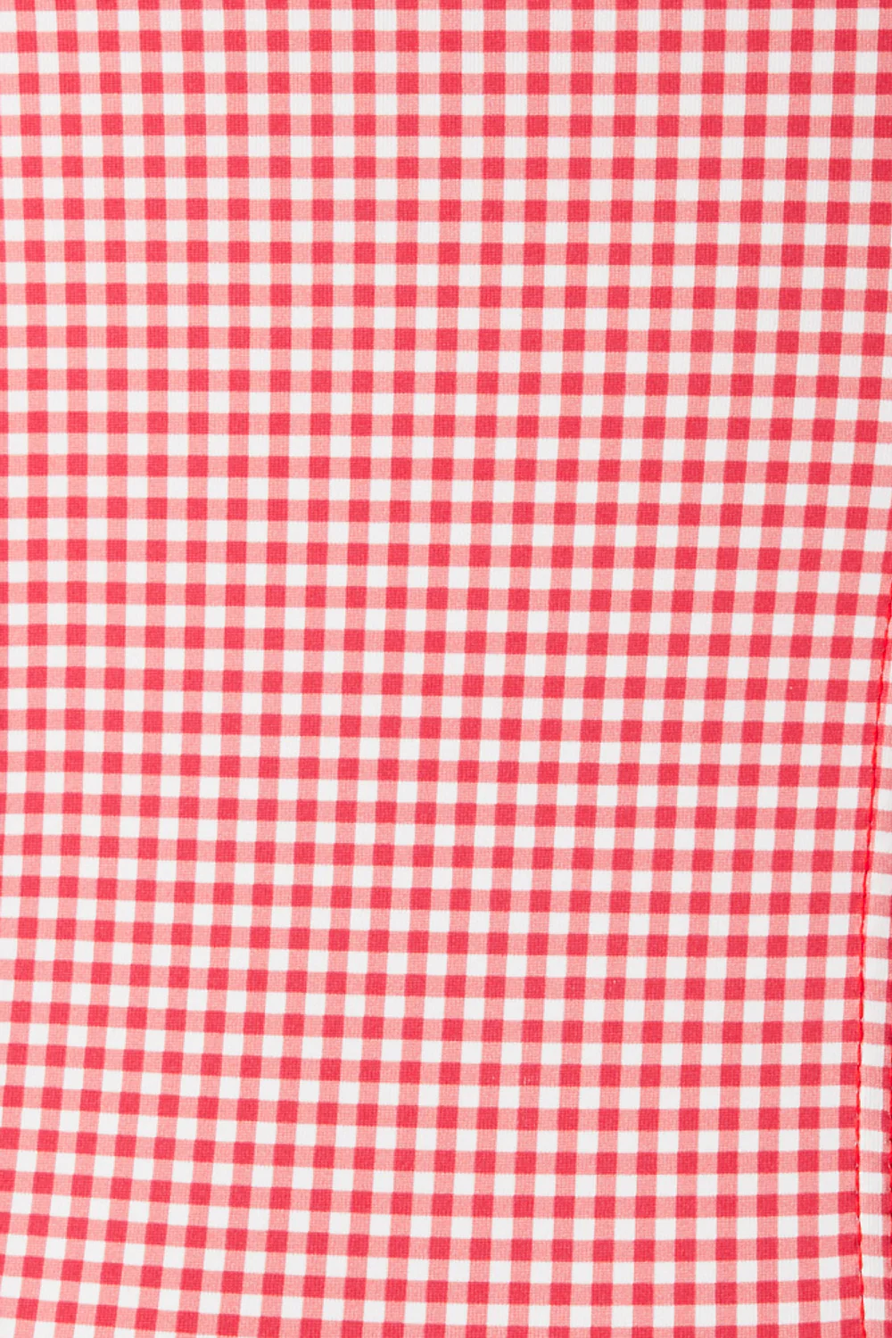 Cruise Monokini One Piece Swimsuit - Ladybug Gingham