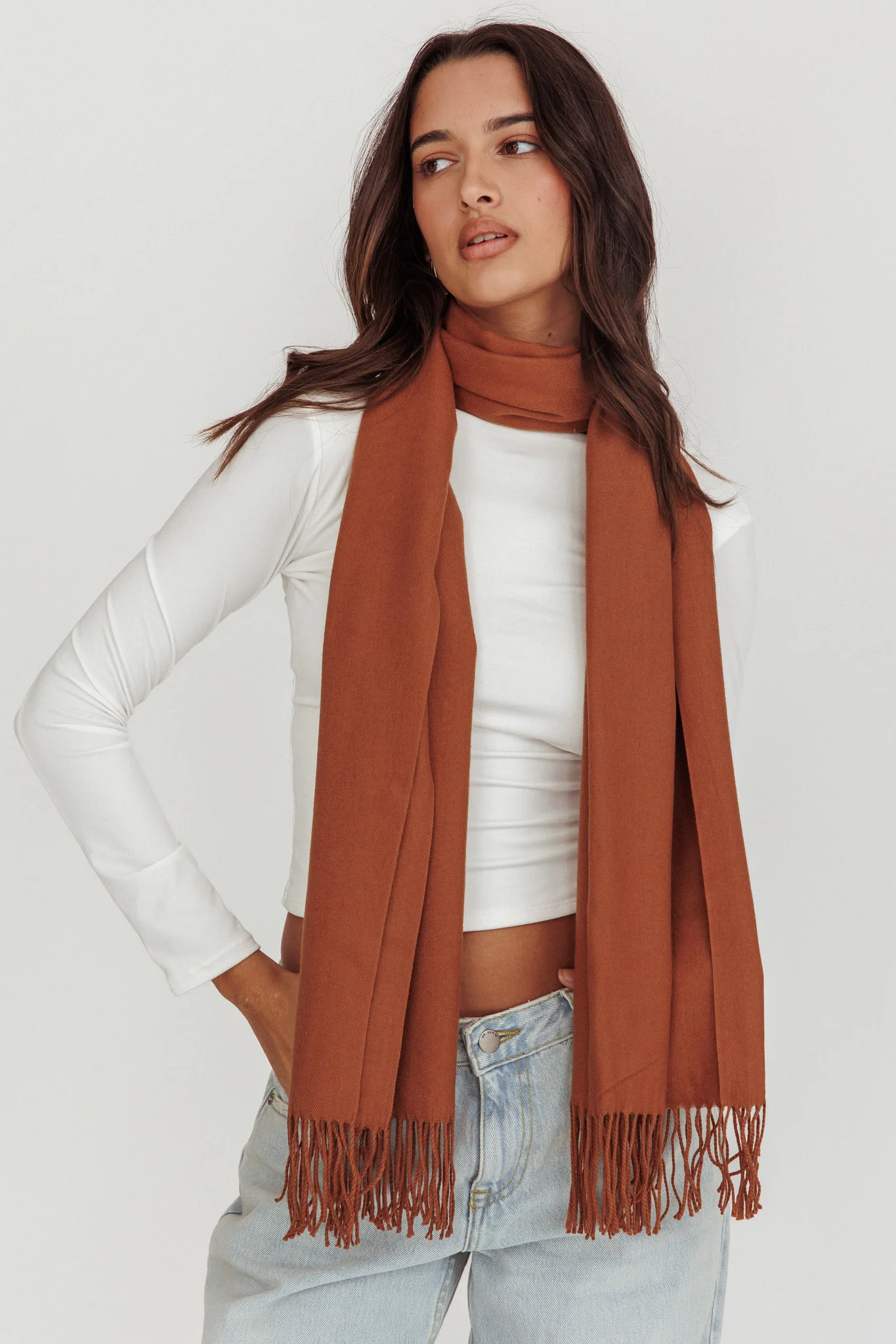 Diona Cashmere and Wool Fringed Scarf Brown