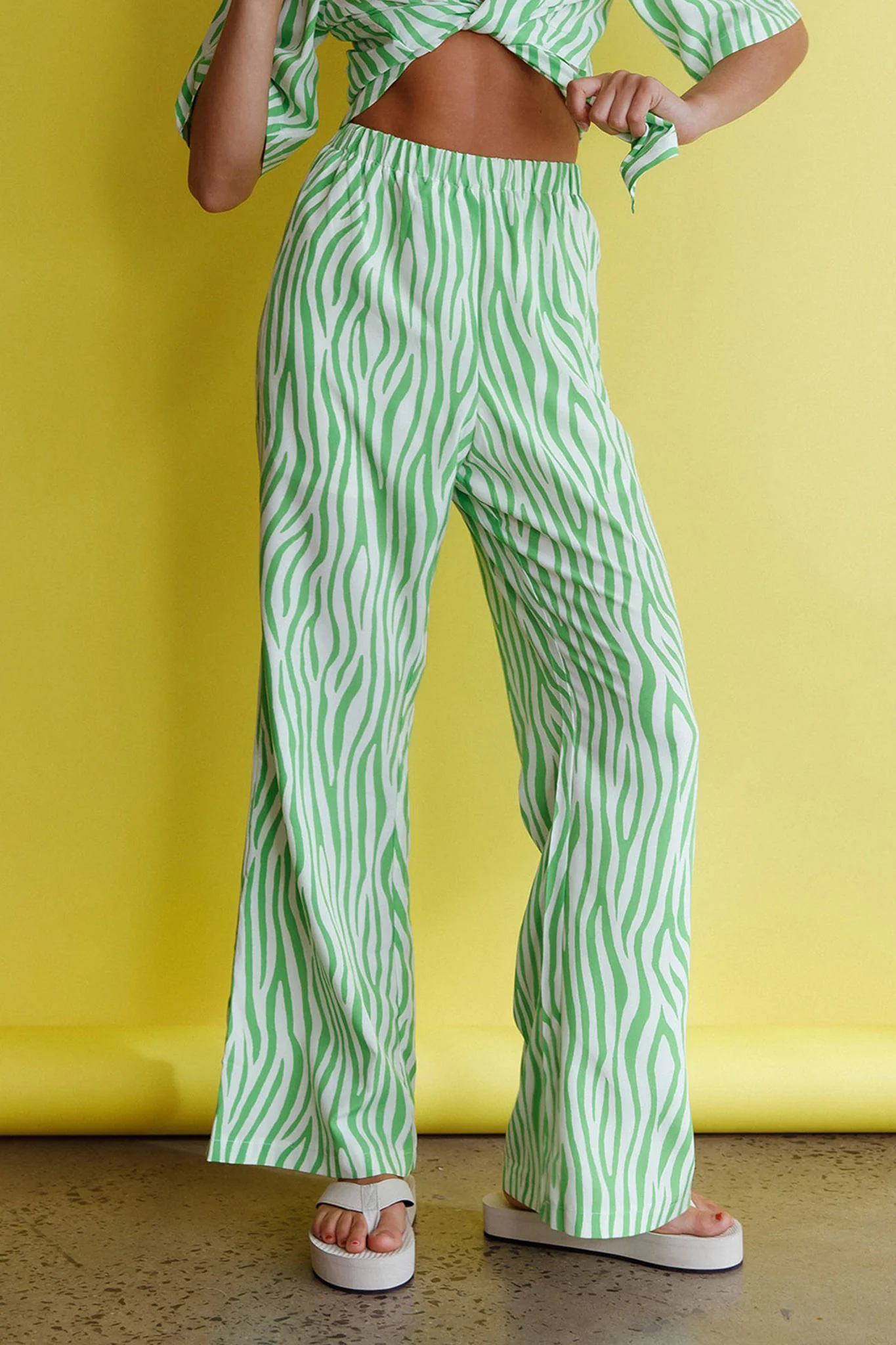 Just A Hunch Pants Zebra Green