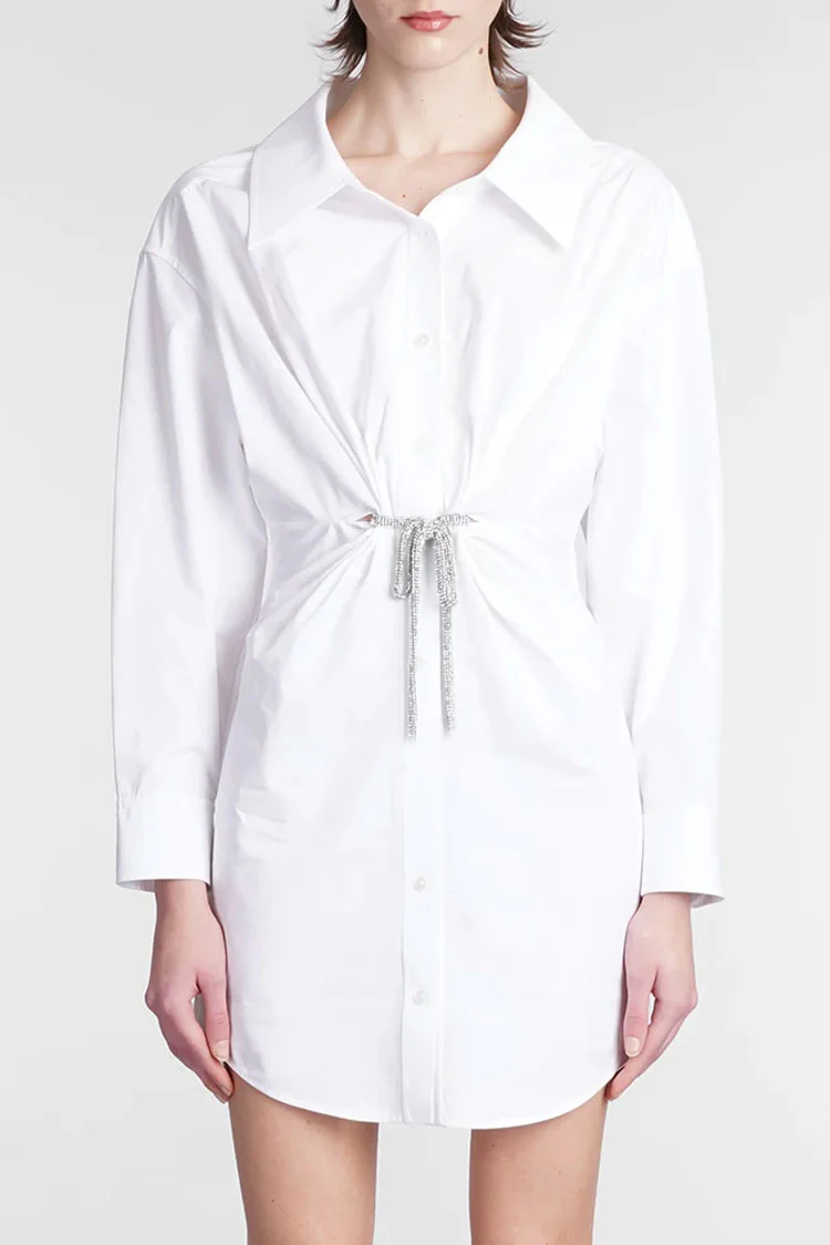Sparkly Tie Waist Collared Long Sleeve Button Down Mini Shirt Dress - White