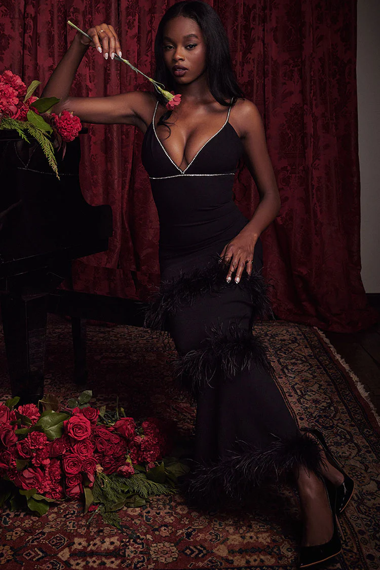 Sparkly Rhinestone Deep V Sleeveless Feather Trim Evening Maxi Dress - Black