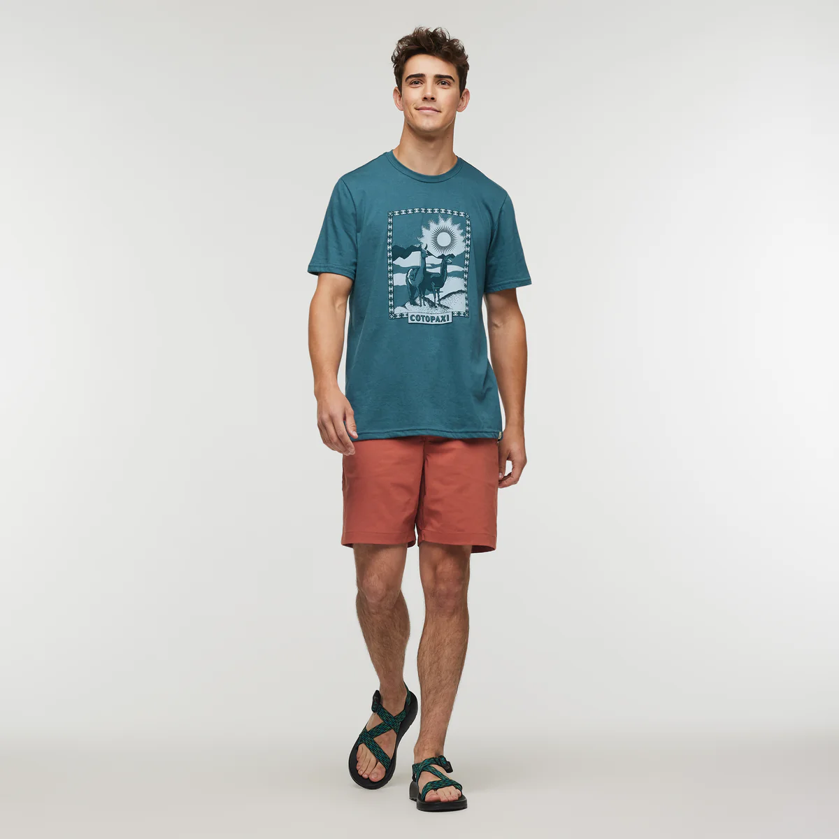 Llama Greetings T-Shirt - Men's