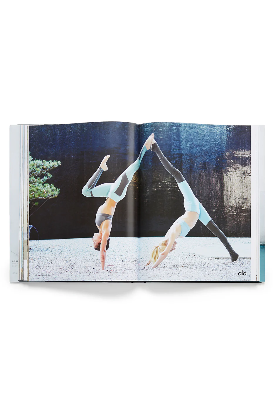 Mindful Movement, a book by Alo Yoga