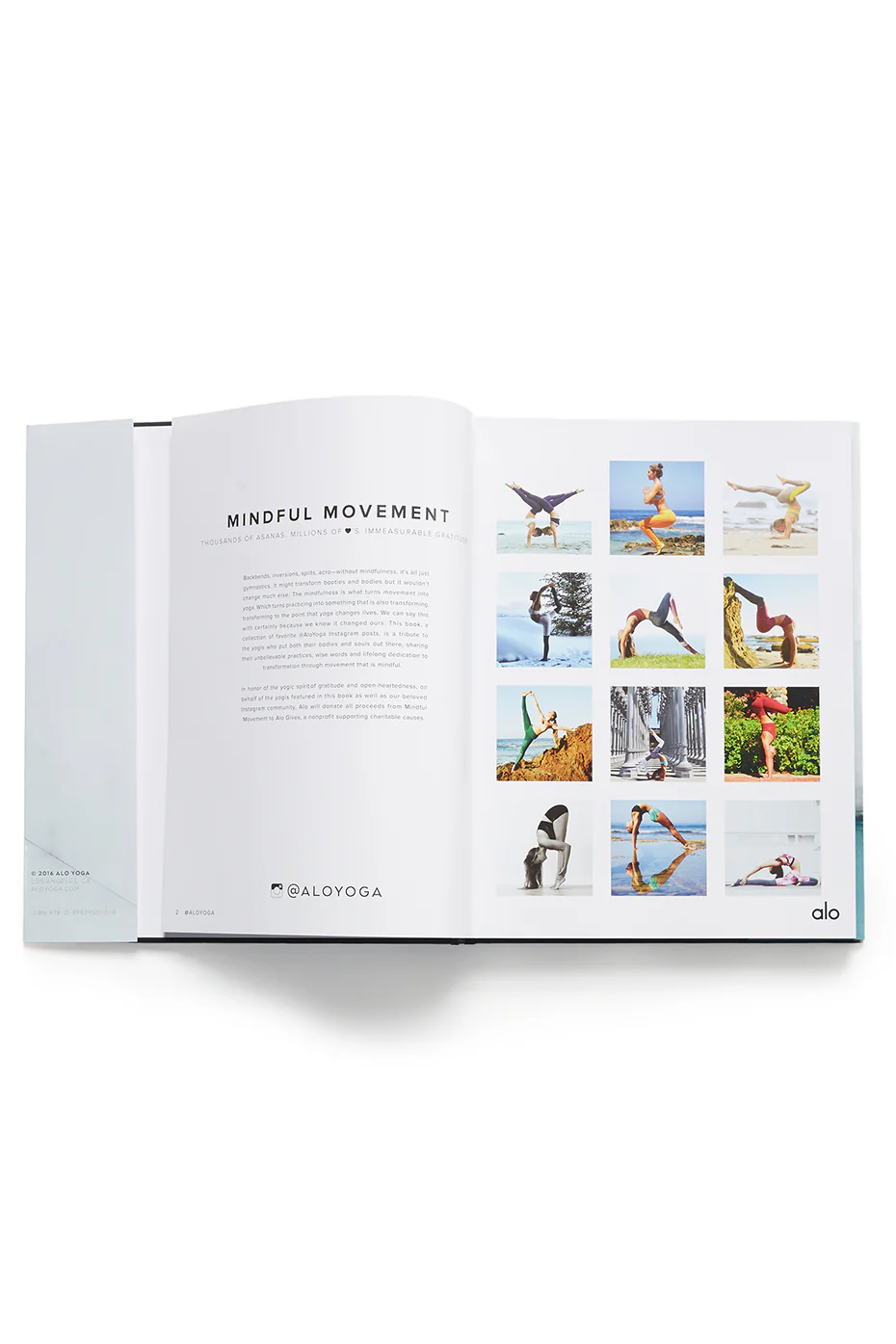 Mindful Movement, a book by Alo Yoga