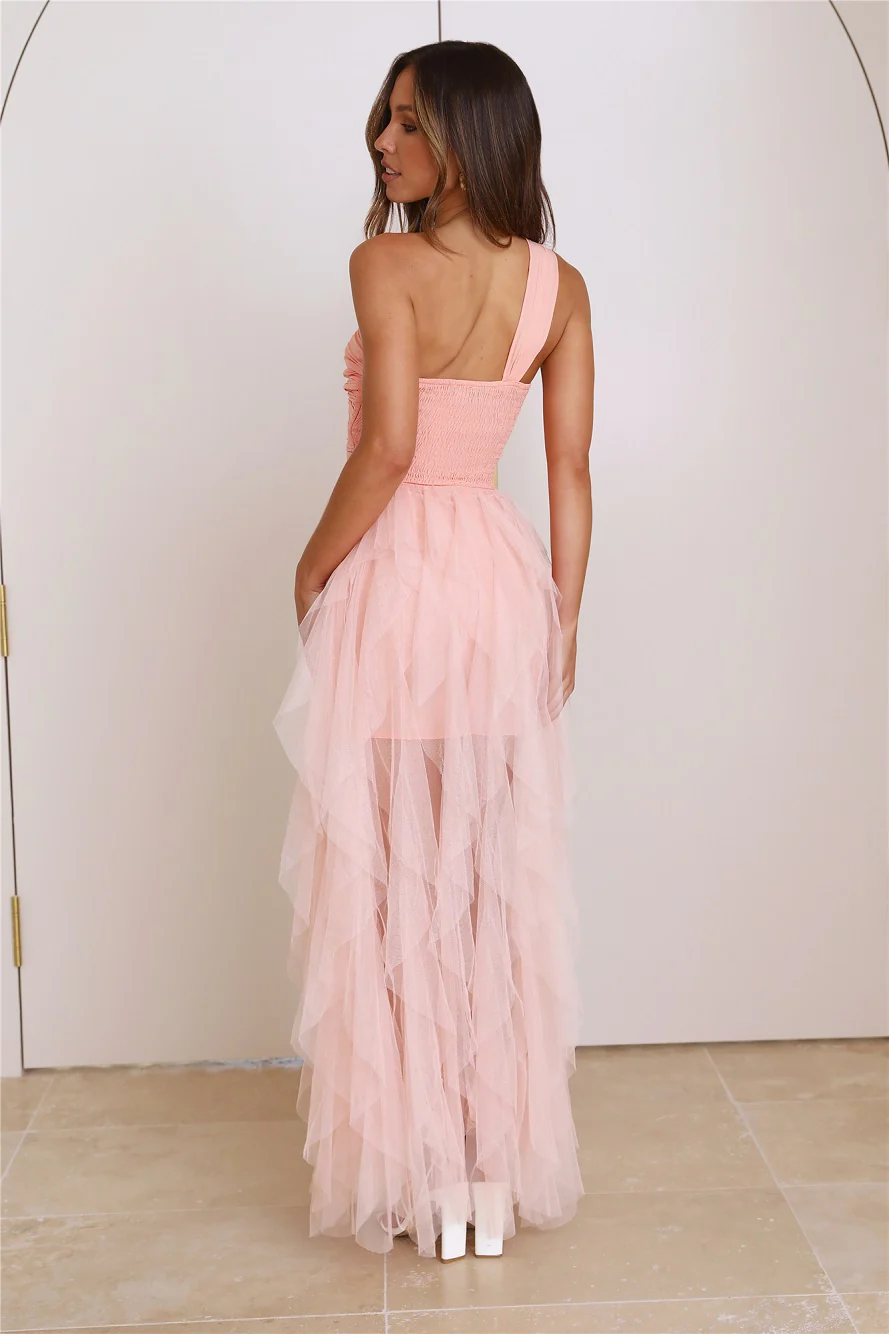 Lavish Style Tulle Maxi Dress Pink