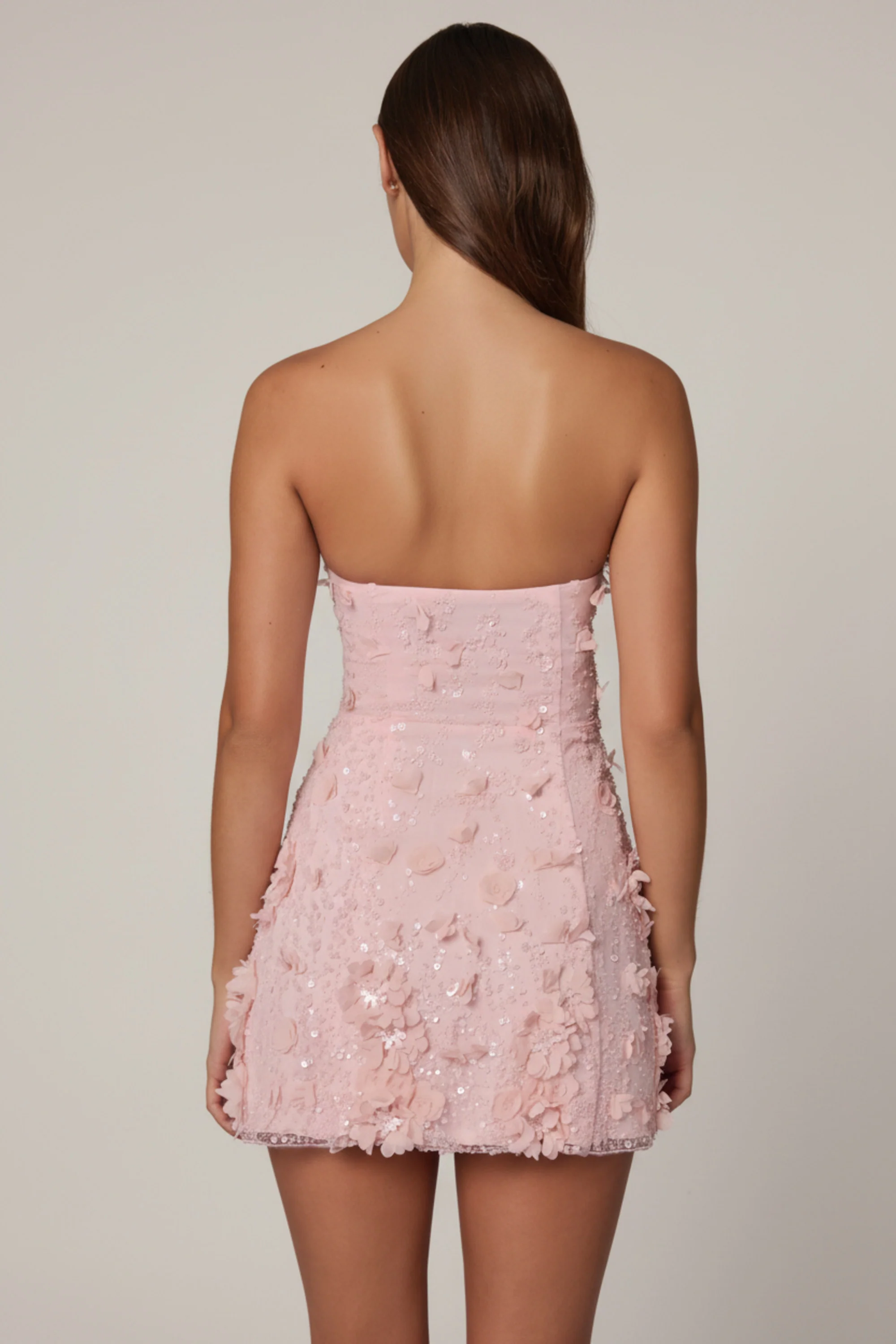 Embellished Bandeau A-line Mini Dress in Ballet Pink