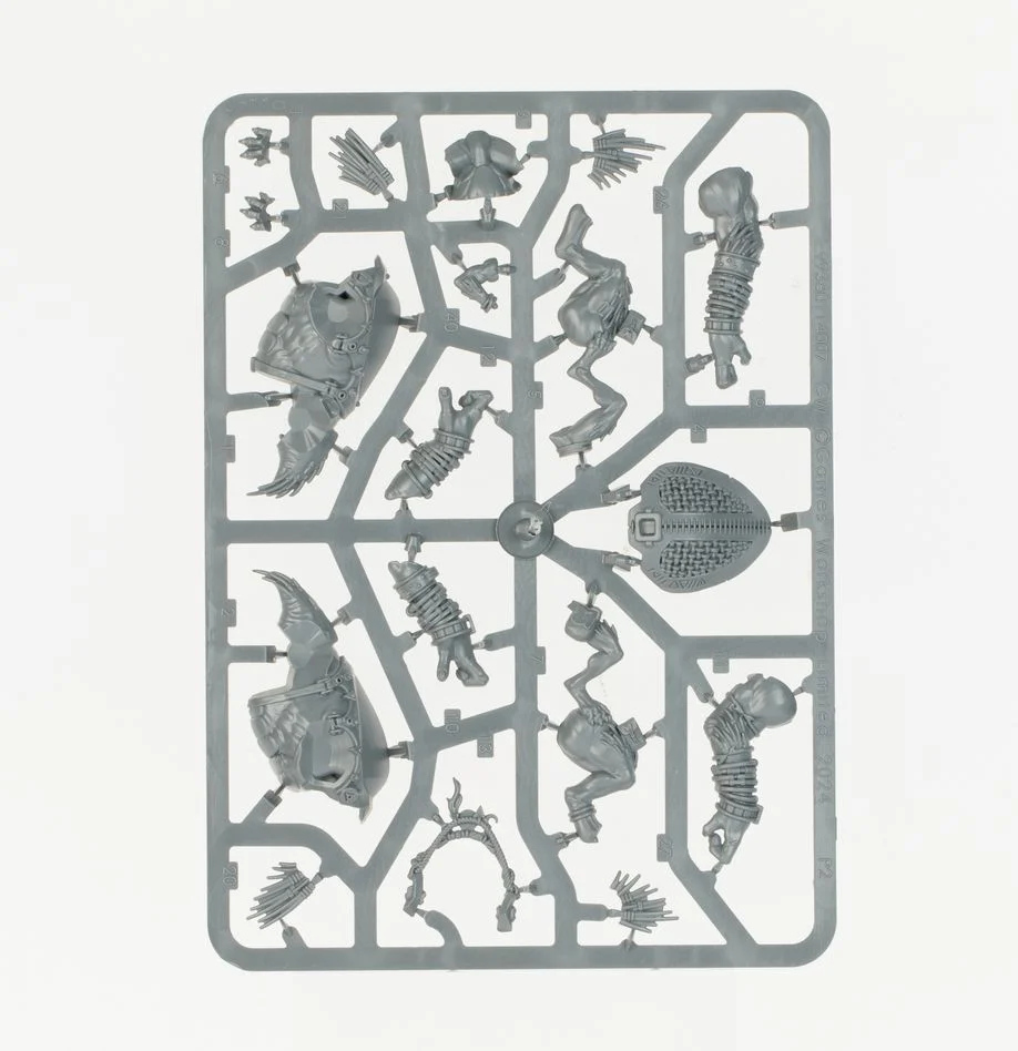 Warhammer 40,000 T'au Empire Army Set: Kroot Hunting Pack
