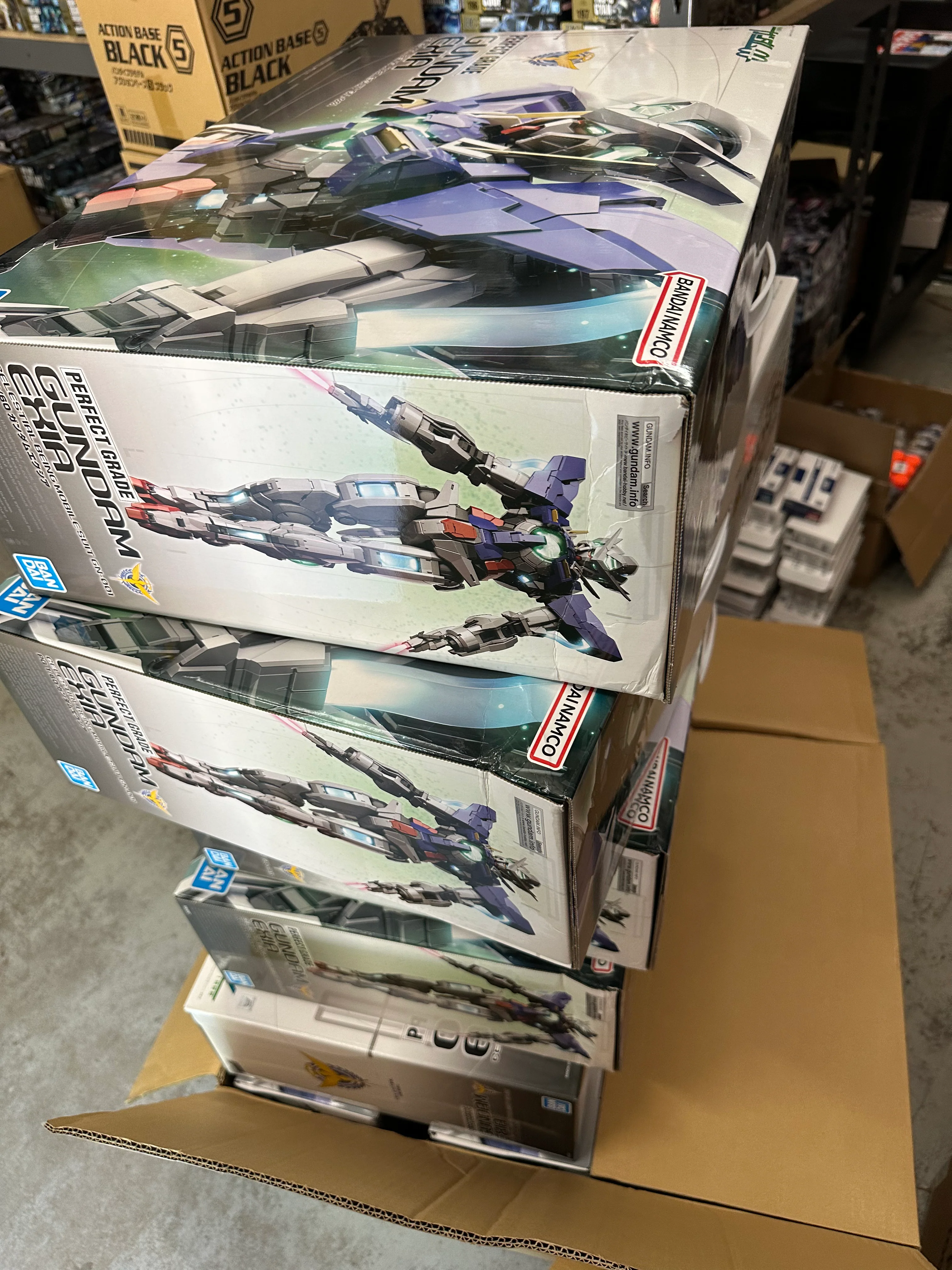 PG Exia [Damage Box ]