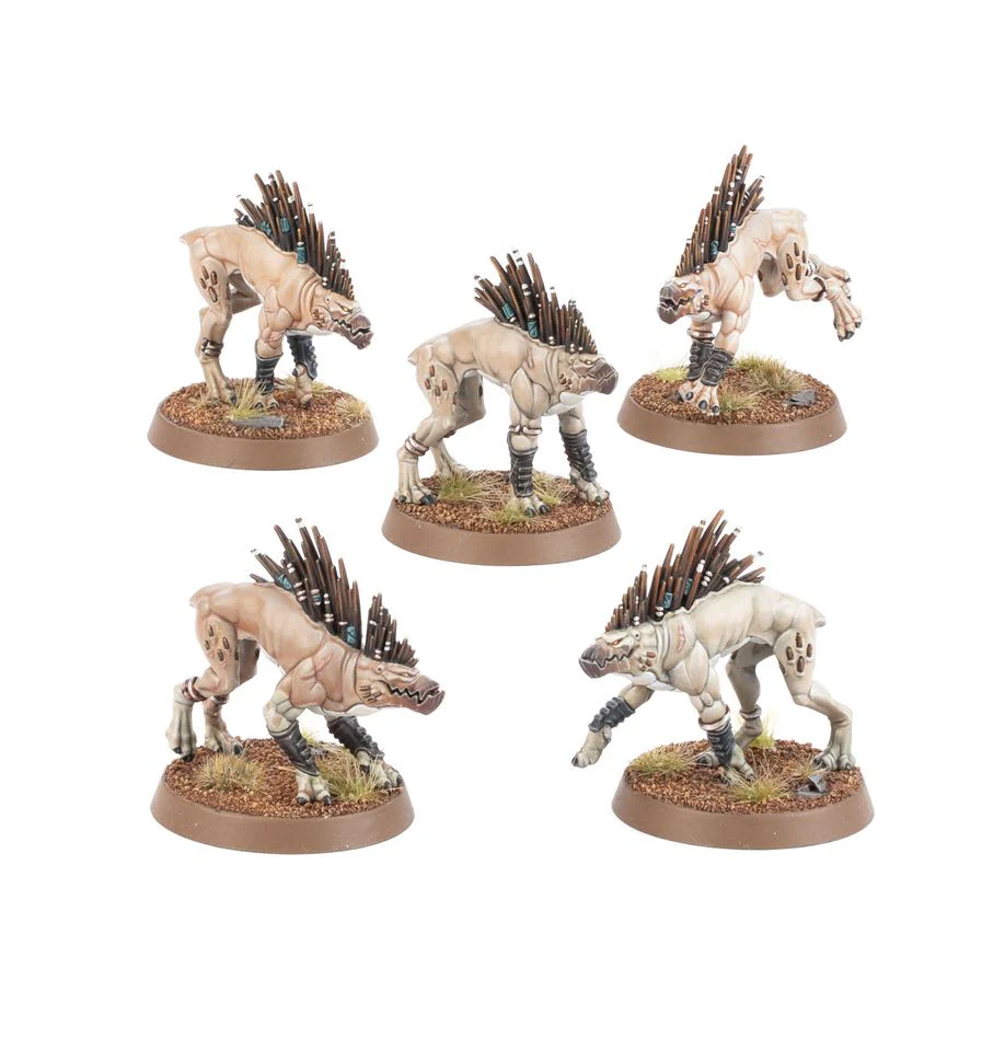 Warhammer 40,000 T'au Empire: Kroot Hounds