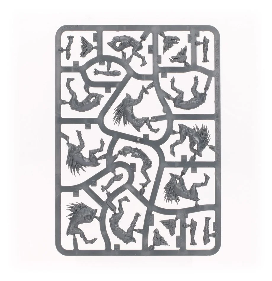 Warhammer 40,000 T'au Empire: Kroot Hounds