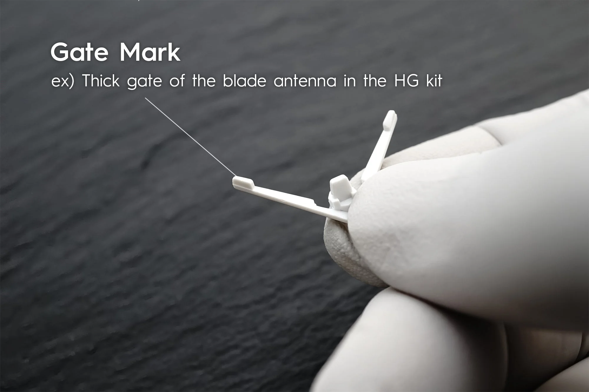 GUNPRIMER RASER PLUS [Gundam Place Limited Edition 01]