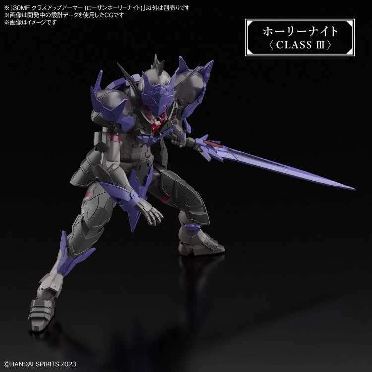 30 Minutes Fantasy Class Up Armor (Rosan Holy Knight Accessory) Set #3